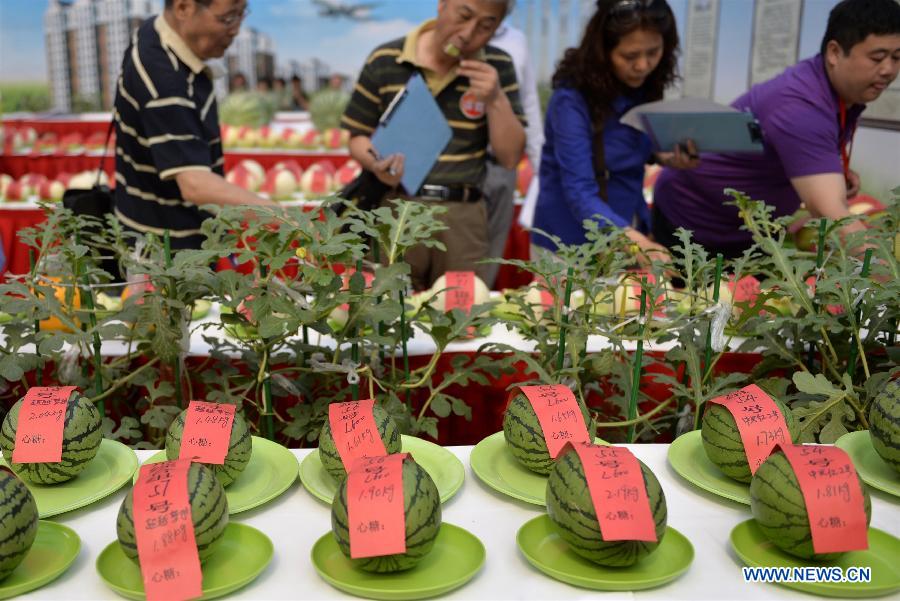 27th Daxing Watermelon Festival held in Beijing