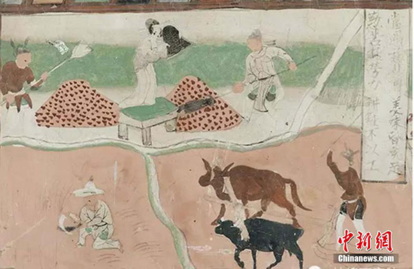 Spring plowing revealed in Mogao Grottoes