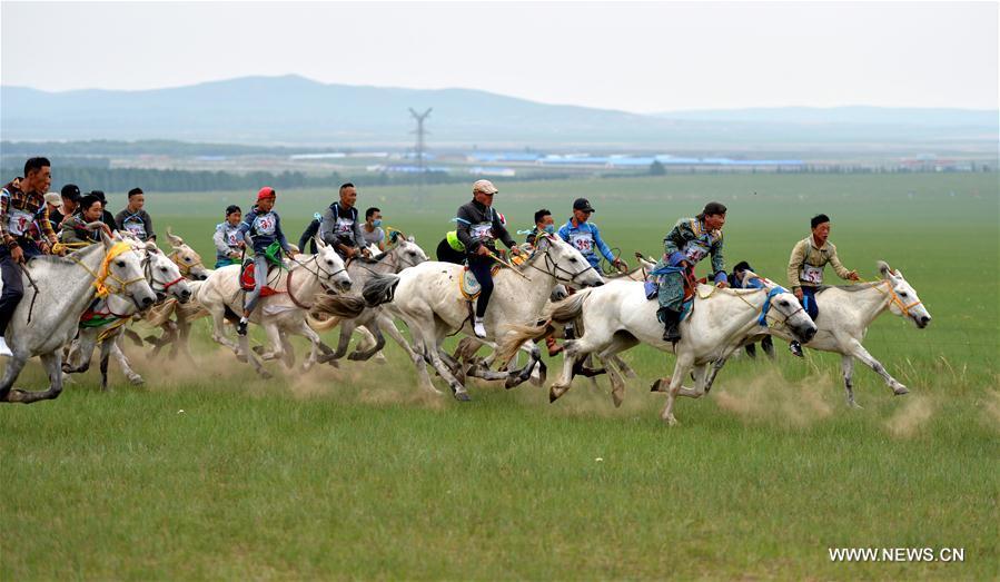 Local herdsmen celebrate traditional festival in Inner Mongolia