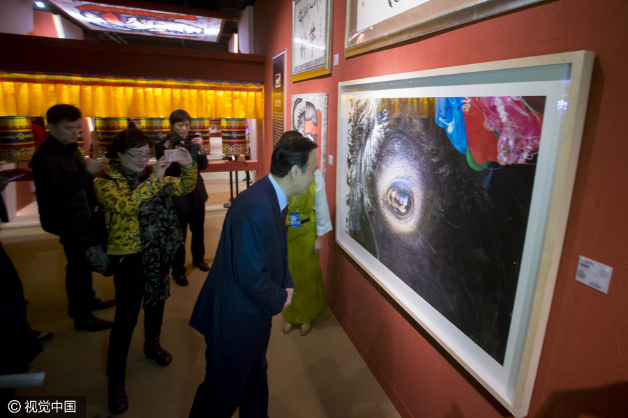 Qinghai-Tibetan Plateau yak culture on display in Beijing