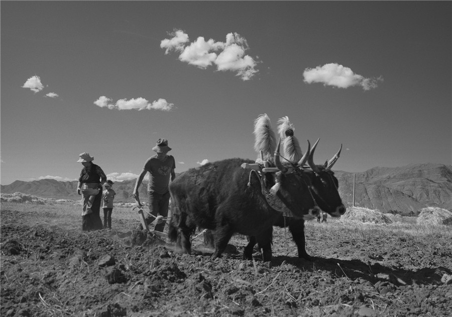 Photographer captures life on Tibet Plateau