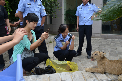 挽留熊貓公益行獲森警支持 云南野生動(dòng)物園透露將如何“挽留熊貓”