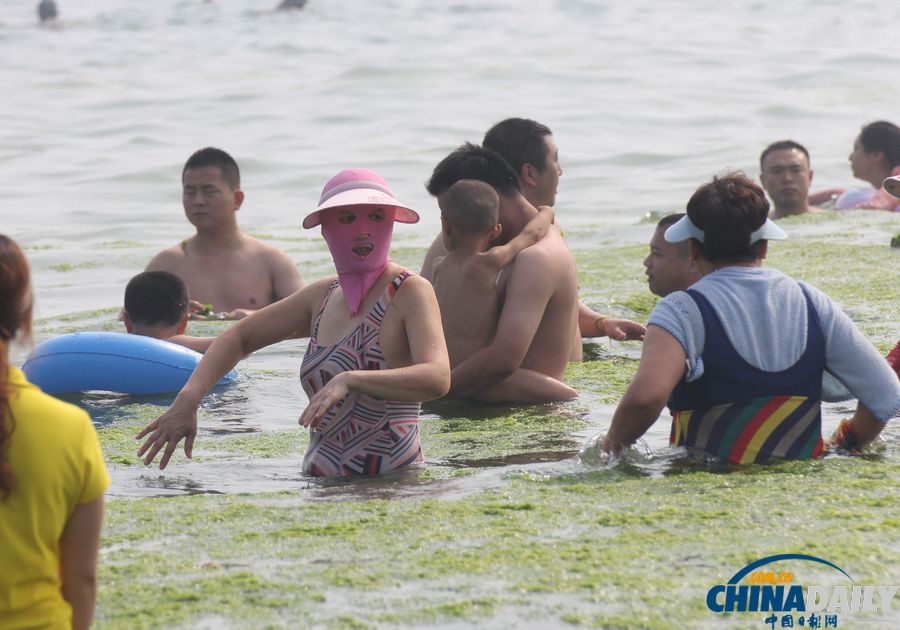 青島迎入夏最大規(guī)模滸苔登陸