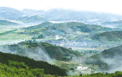 松溪茶平：生態(tài)“引擎”驅(qū)動綠色發(fā)展