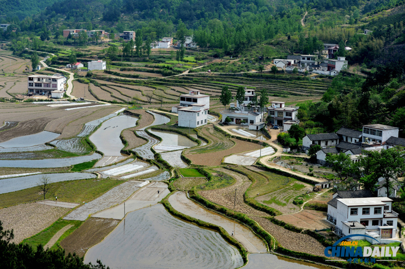 河南信陽：田園風光美景如畫卷