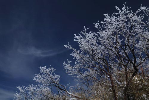 強(qiáng)冷空氣致神農(nóng)架驟降“桃花雪”