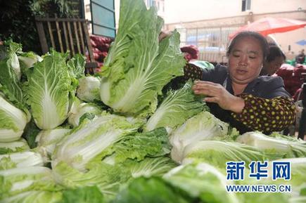 菜價猶如“過山車” 價格穩定機制何去何從？