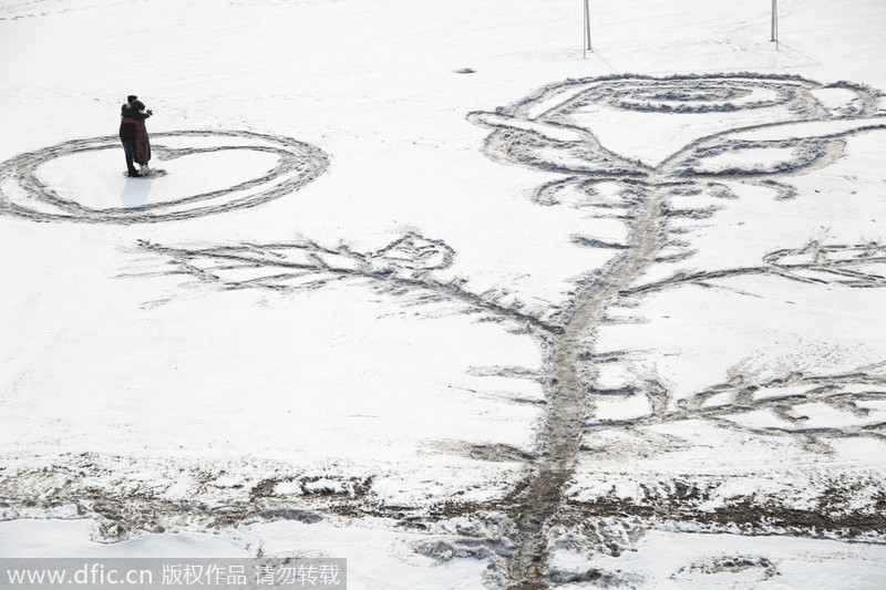 吉林“浪漫大叔”情人節雪地踩出巨型玫瑰獻愛人