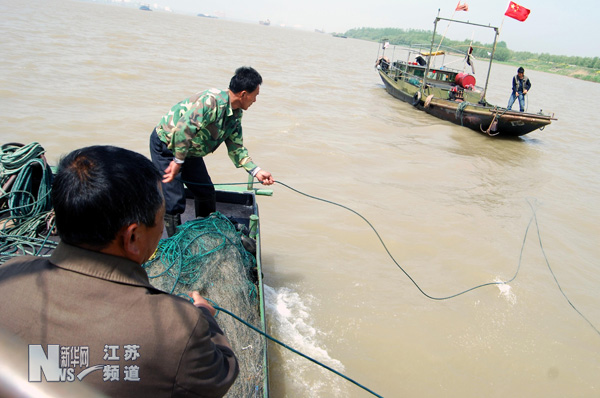 長江刀魚二次開捕