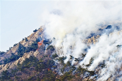 大連大黑山突發火災致5人死亡 300余人前往撲救