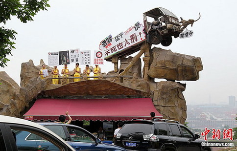 重慶“女子禁酒隊(duì)”上街勸司機(jī)勿酒駕(圖)