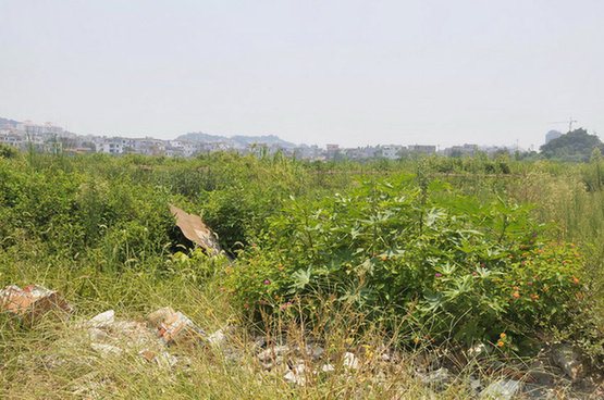 記者國(guó)內(nèi)