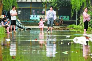 親歷者講述北京房山暴雨：眼睜睜看著道路變成河