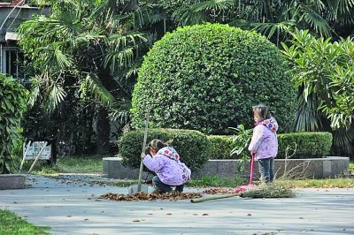 3歲雙胞胎姐妹幫清潔工奶奶掃馬路引關注 圖