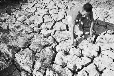 南方高溫創1951年以來之最