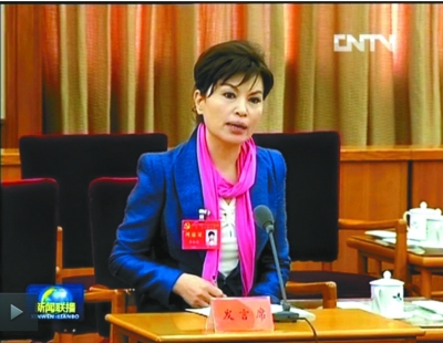 基層代表如何列席十八屆三中全會：參加全部會議議程