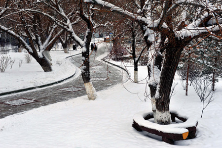 克拉瑪依油城美麗雪景好似水墨畫(huà)