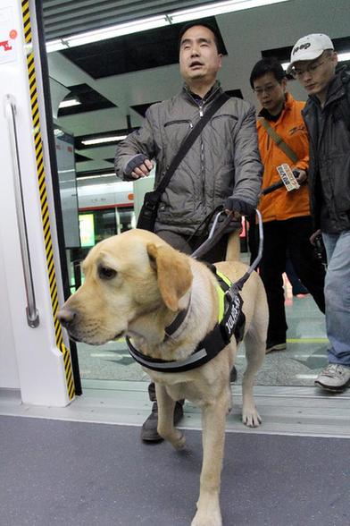 杭州導盲犬首次帶領主人乘地鐵