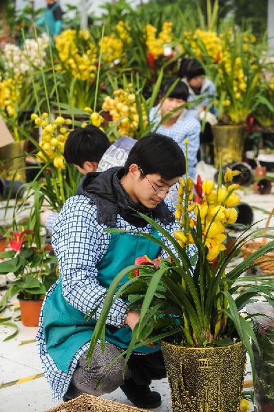 杭州“鮮花超市”萬盆鮮花迎新春