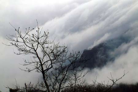 Legendary mountain shrouded in sea of clouds