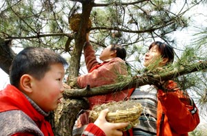 School launches bird protection activities