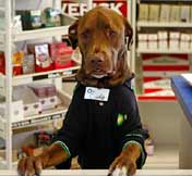 Dog works at gas station<BR>美加油站小狗當服務員