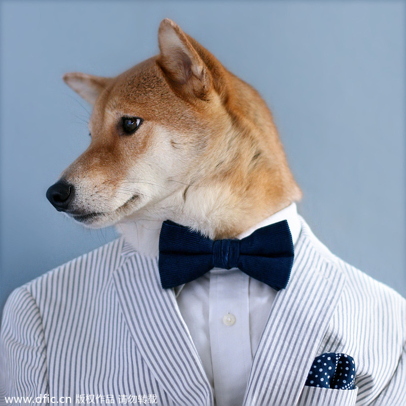 Trend watch: Stylish Dog goes viral