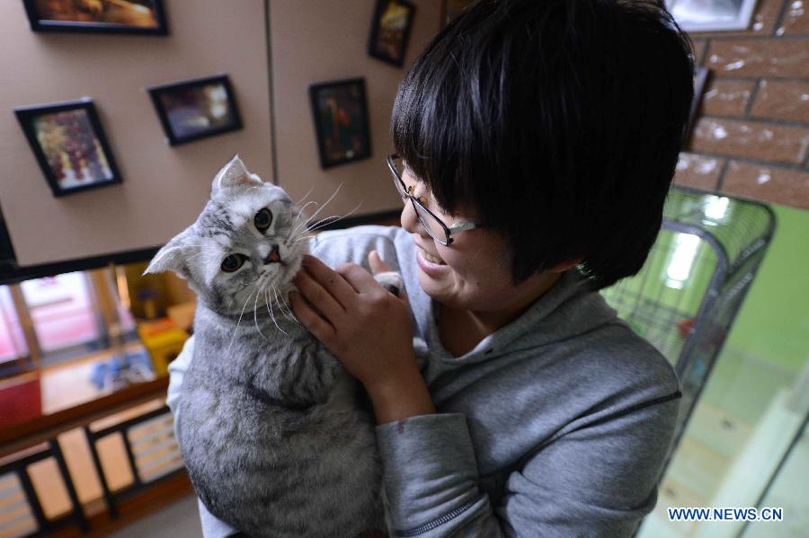 Cat-themed coffee bar opens in Harbin