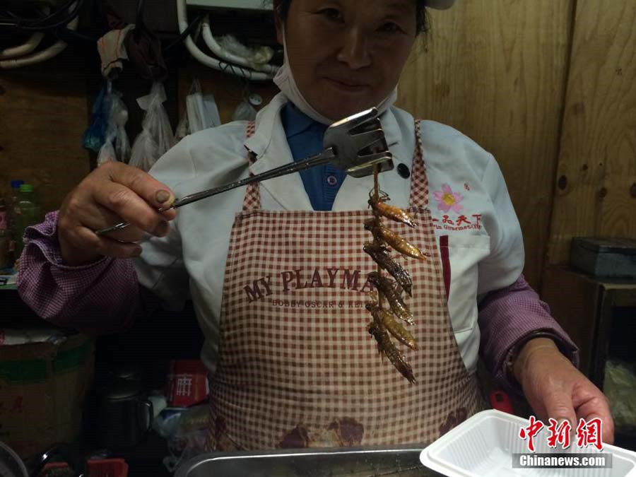 Insect dishes presented at food festival in SW China