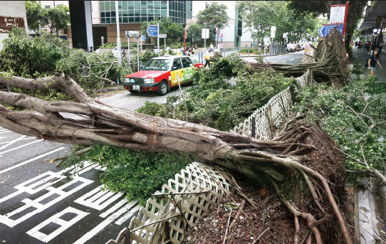 HK recovers quickly from typhoon