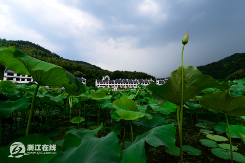 被“盤下”的利山村，一處秀山麗水的養生福地