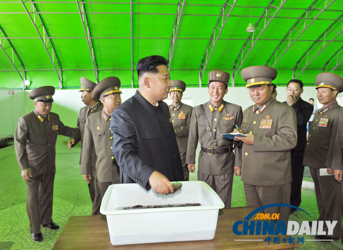 金正恩視察養魚場 要求大量生產鱘魚等供應國際市場（組圖）