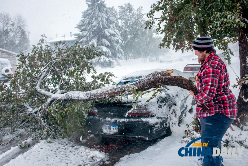 美中西部遭遇罕見暴風雪 積雪近尺林肯像被覆