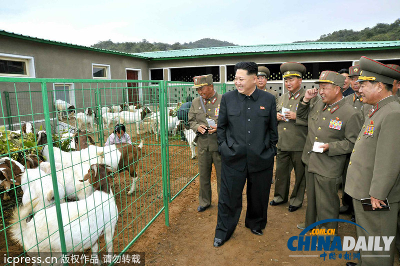 金正恩視察朝鮮人民軍家畜育種場(chǎng)和日用品廠（圖）