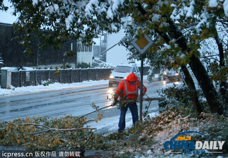 德國巴伐利亞大雪成災 鐵路交通陷于癱瘓（圖）