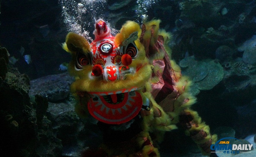 水下舞獅財神拜年 馬來西亞一水族館喜迎中國年