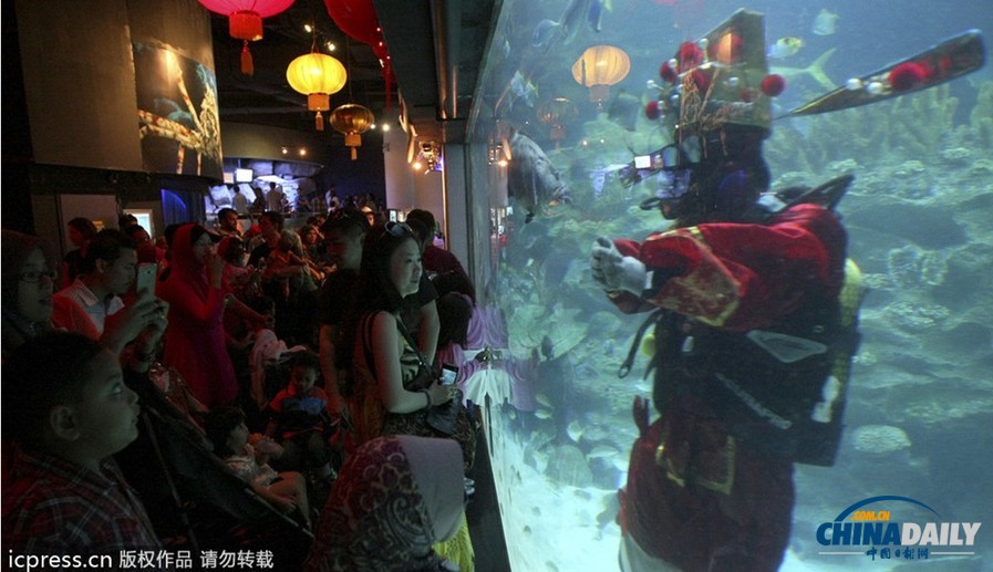 水下舞獅財神拜年 馬來西亞一水族館喜迎中國年