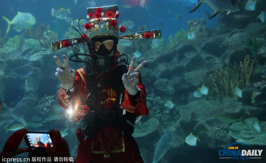 水下舞獅財神拜年 馬來西亞一水族館喜迎中國年