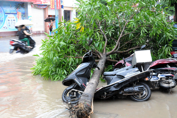 Typhoon Hagibis forces 16,000 to evacuate Shantou