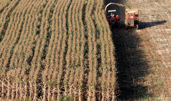 China inks corn pact with Brazil