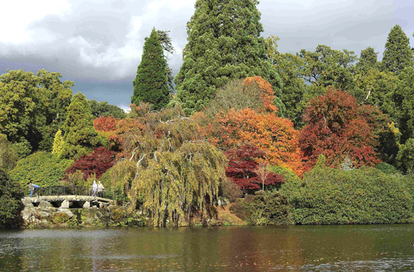 Autumn colors