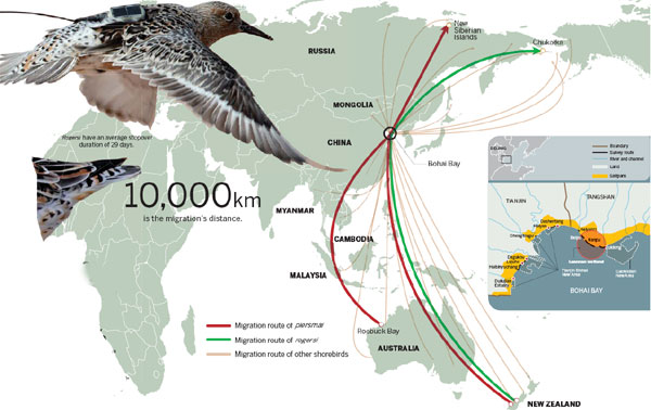 Migration devastation