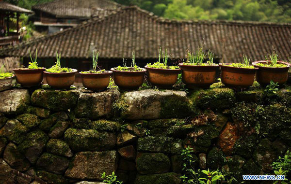 Linkeng village of Yongjia county in Zhejiang