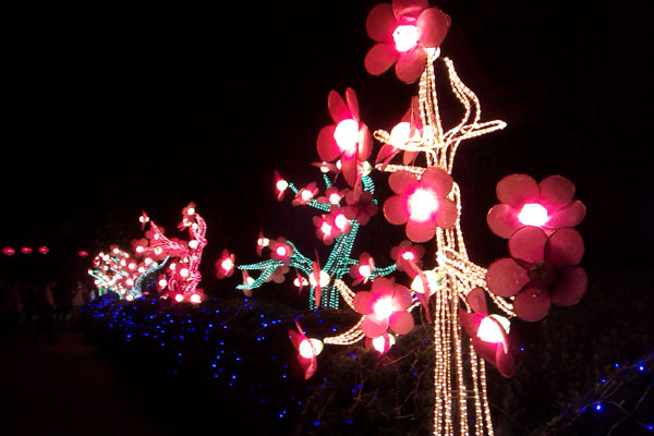 Lanterns ready for global glow