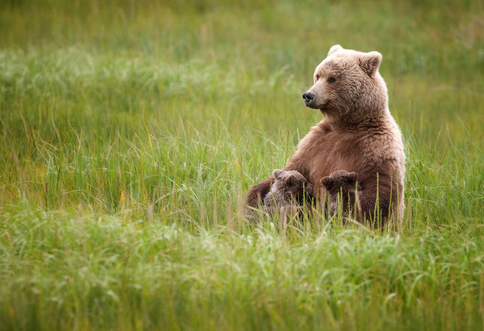 Selected photos from National Geographic Photo Contest