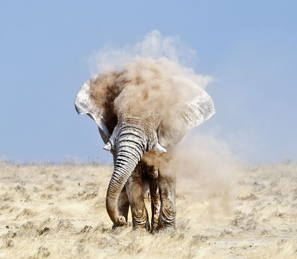 Selected photos from National Geographic Photo Contest