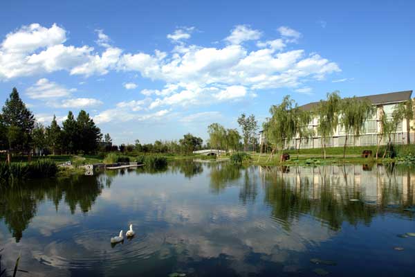 Resort hosts lotus festival