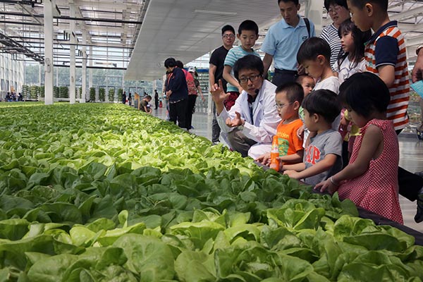 Cofco shows children the secrets of farming