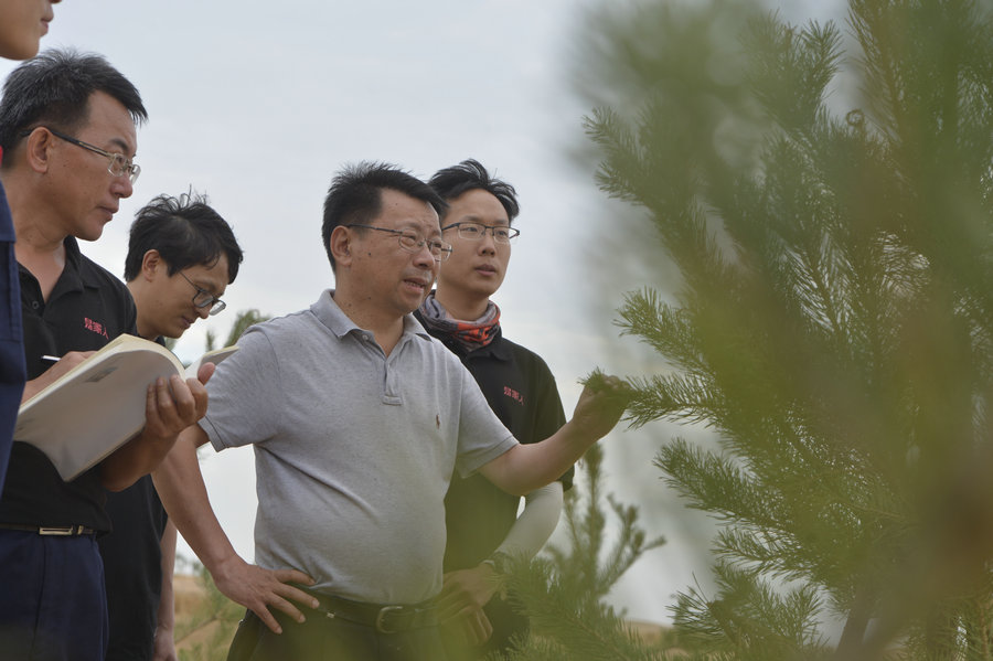 How plants survive in the Ulanbuh sand