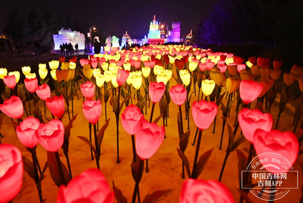 Colorful ice lanterns light up Changchun Park